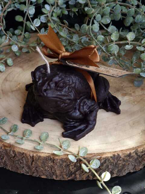 Gothic Black Toad Candle, Witches Familiar Gift, Frog Lover Unique Cottage Gift For Her - image 1
