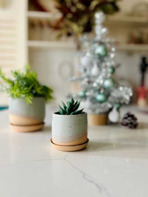 Handmade Ceramic Succulent Pot With Saucer - 3 Inch Speckled Or Smooth - image 1