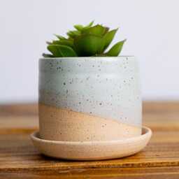 Handmade Ceramic Succulent Pot With Saucer - 3 Inch Speckled Or Smooth - thumbnail 2