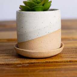 Handmade Ceramic Succulent Pot With Saucer - 3 Inch Speckled Or Smooth - thumbnail 3