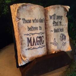 Roald Dahl Quote Resin Storybook Rustic Salvaged Wood Display - thumbnail 2