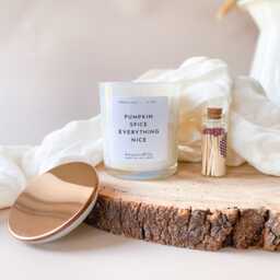 Pumpkin Spice Everything Nice Scented Candle With Mini Matches Jar Autumn Home Decor Cosy Decoration Birthday Gift Fall - thumbnail 1