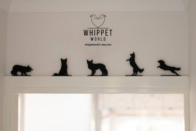 Border Collie Acrylic Dog Ornaments Tv Topper, Door Frame Decor - image 1