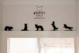 Border Collie Acrylic Dog Ornaments Tv Topper, Door Frame Decor