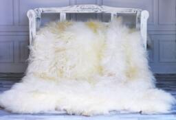 Exclusive Genuine Natural Rare Icelandic Sheepskin Rug, Pelt, Soft Long Fur Sexto - thumbnail 1