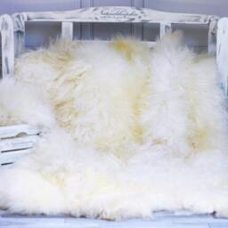 Exclusive Genuine Natural Rare Icelandic Sheepskin Rug, Pelt, Soft Long Fur Sexto - thumbnail 2