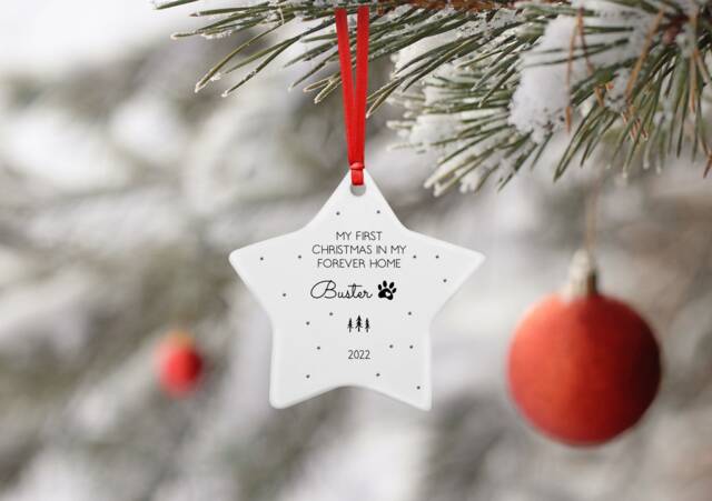 Personalised Dog First Christmas in Forever Home Ceramic Star Decoration Ornament - image 1