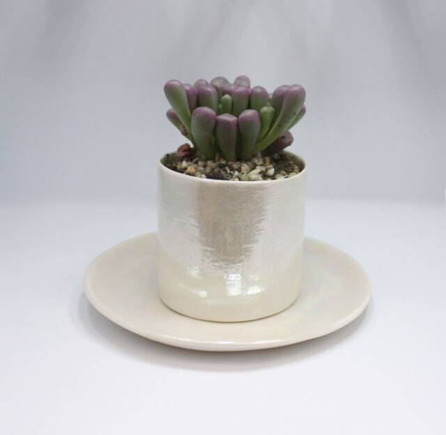 Christmas Gift - Ceramic Plant Pot Succulent Pots Small Plant For Him Birthday Gifts Dad Gift Grandad - image 1