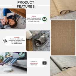 Gray Beige Sisal Rug - Indoor Outdoor Non-Shedding Flatweave Carpet - thumbnail 4