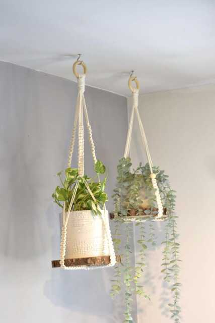 Plant Hanger No Tassel Indoor, Hanging Planter With Wooden Disc, Indoor Wall Flower Pot Holder, Macrame Wood Ceiling Shelf For - image 1