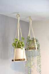 Plant Hanger No Tassel Indoor, Hanging Planter With Wooden Disc, Indoor Wall Flower Pot Holder, Macrame Wood Ceiling Shelf For