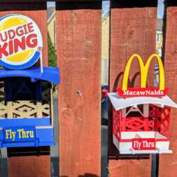 Macawnalds Fly Thru Bird Feeder Small Feeding Station - thumbnail 2
