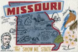 Missouri State Pillow With Feather Insert - thumbnail 2