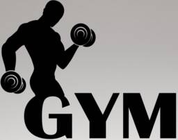 Large 23 X 16 Inch The Gym Vinyl Sticker Decal Wall Art Graphic Shop Window Fitness Training Bodybuild Weights
