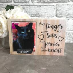 Cat Memorial Gift, Frame, Memorial, Plaque, Photo Memorial Picture - thumbnail 3