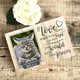 Cat Memorial Gift, Frame, Memorial, Plaque, Photo Memorial Picture - thumbnail 2