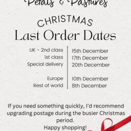 Dog Christmas Decoration, Personalised Puppy Xmas Bauble, Paw Print Decoration, Christmas Gift For Dog, Dog Mum Gifts, 1st - thumbnail 4
