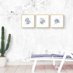 Hamptons Wall Art Prints - Set Of 3 Coral & Shell Nautical Design - thumbnail 3