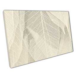 Minimalist Dried Leaf Canvas Print Neutral Beige & White Wall Art For Home Or Office Decor - thumbnail 1