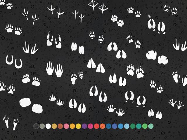 10 X Pair Of Animal Footprints - Vinyl Decal Sticker Wall Decor Cat Dog Foot Gift Waterproof Colour Laptop Bike Kid's Bedroom - image 1