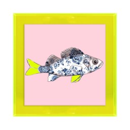 Funky Fish Sea Bass in Pink - Neon Colored Acrylic Frame - thumbnail 1