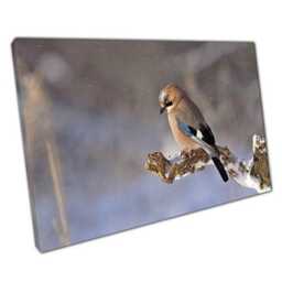Vibrant Jay Bird Canvas Wall Art Nature-Inspired Home & Office Decor Print, Ready To Hang - thumbnail 1