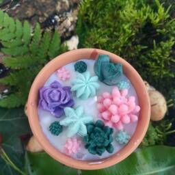 Succulent Flower Candle Terracotta Plant Pot Candle 8Oz Soy Vegan Cruelty Free Christmas Gift Catus - thumbnail 2