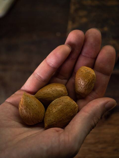 Ceramic Almonds Handmade Realistic - 5 Pcs Natural Size, Kitchen Decor - image 1