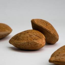 Ceramic Almonds Handmade Realistic - 5 Pcs Natural Size, Kitchen Decor - thumbnail 3