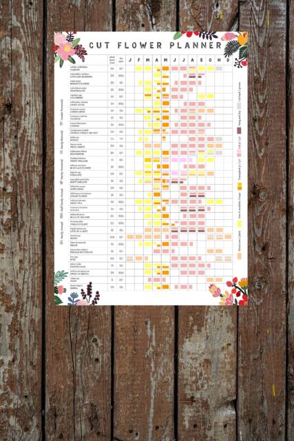 Cut Flower Growing Planner // Allotment & Garden Calendar Home Grown Floristry Bouquets - image 1