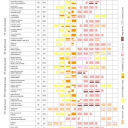 Cut Flower Growing Planner // Allotment & Garden Calendar Home Grown Floristry Bouquets - thumbnail 2