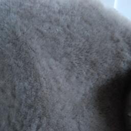 Gray Silver Grey , Sheepskin in Luxurious Supersoft Short Hair Size Xl - thumbnail 3