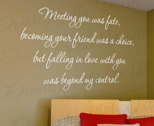 Meeting You Was Fate Loving Beyond My Control Love Bedroom Family Quote Sticker Decoration Art Decor Vinyl Saying Wall Lettering Decal L64 - image 1