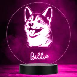 Shiba Inu Dog Pet Silhouette Multicolour Personalised Gift Led Lamp Night Light - Bedroom - thumbnail 1