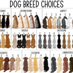 Customisable Dog Cushion - Custom Cushion Owner Gift Owner- Mum - thumbnail 3