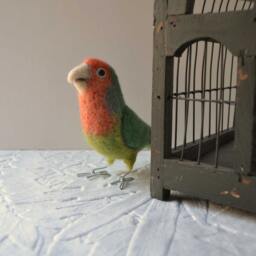 Mr. Peach Faced Lovebird, Needle Felted Bird Art Fiber Sculpture - thumbnail 2