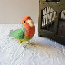 Mr. Peach Faced Lovebird, Needle Felted Bird Art Fiber Sculpture - thumbnail 3