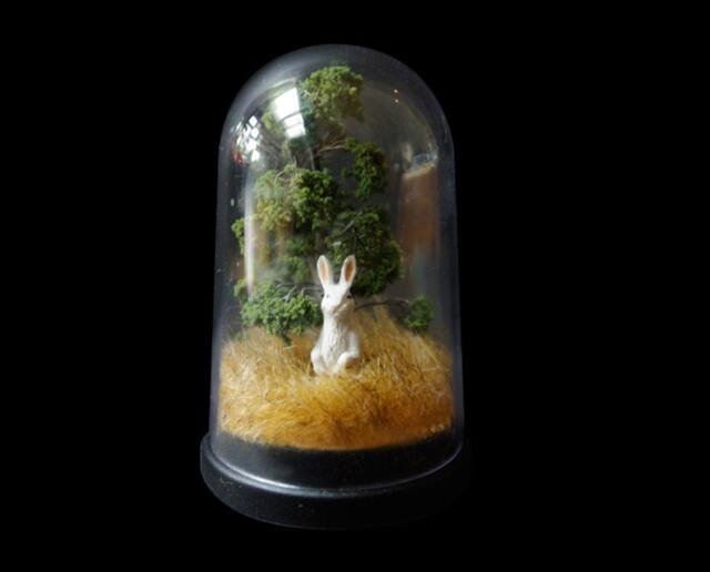 Rabbit in The Park