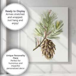 Vintage Pine Cone Botanical Illustration Nature Study Canvas Wall Art Print Decor Picture Ready To Hang - thumbnail 3