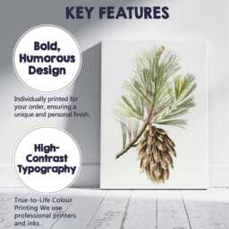 Vintage Pine Cone Botanical Illustration Nature Study Canvas Wall Art Print Decor Picture Ready To Hang - thumbnail 2
