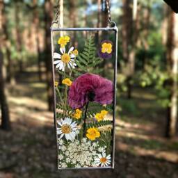 Real Poppy Stained Glass Suncatcher Pressed Flower Wall Art - thumbnail 3