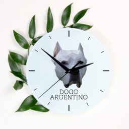 A Clock With A Argentine Dogo Dog. New Collection The Geometric Dog