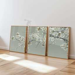 Japanese Cherry Blossom Wall Art Set Of 3 - Minimalist Floral Prints White Plum Artwork Elegant Zen Decor