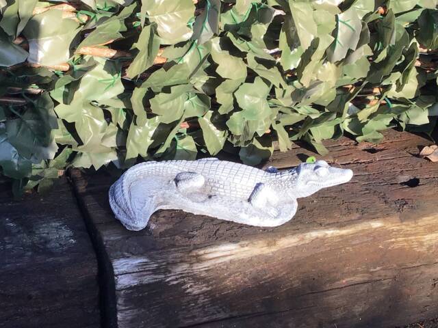 stone Garden Crocodile Ornament Reptile Pond Wildlife - image 1