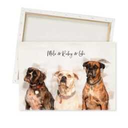 Personalised Pet Portrait From Multiple Photos - Watercolour Dog & Cat Art Print Or Canvas, Gift - thumbnail 1