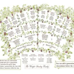 Printed Personalised Family Fan Chart Of Ancestors & Descendants Showing Genealogy in A Grapevine Watercolour Artwork. Fully Customised - thumbnail 2