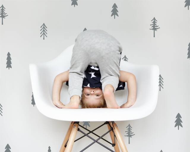 Woodland Trees Mix - Vinyl Wall Decals Irregular Hand Drawn Stickers Wilderness Forest Wild Boys & Girls Baby Nursery Kids Room - image 1