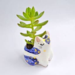 Cat Planter, Animal Ceramic Cat, Lover Gift, Moon Phases, Birthday Housewarming Gift For Friend - thumbnail 3
