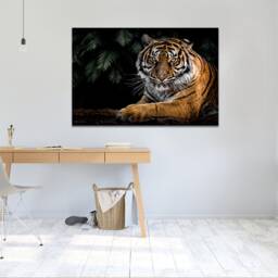 Magnificent Tiger, Wall Art, Canvas Print , Hangings , Mounted Ready To Hang - thumbnail 3