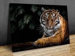 Magnificent Tiger, Wall Art, Canvas Print , Hangings , Mounted Ready To Hang